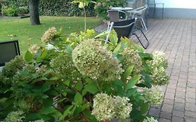 Ferienwohnung Kirschblüte